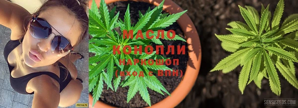 соль ск Михайлов